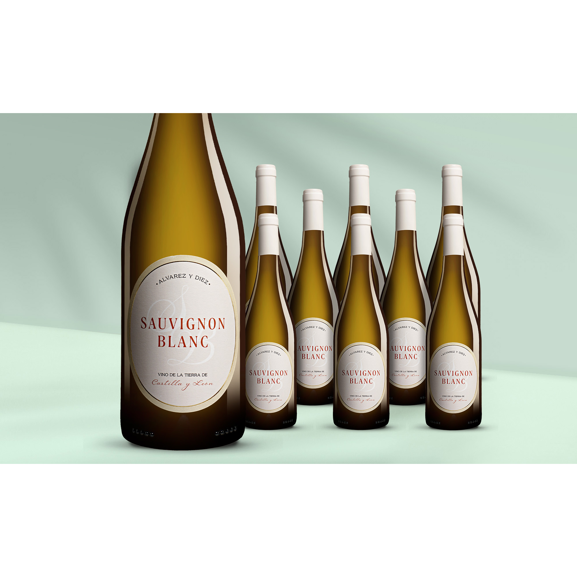 Alvarez y Diez Sauvignon Blanc 2024  612.5% Vol. Weinpaket aus Spanien