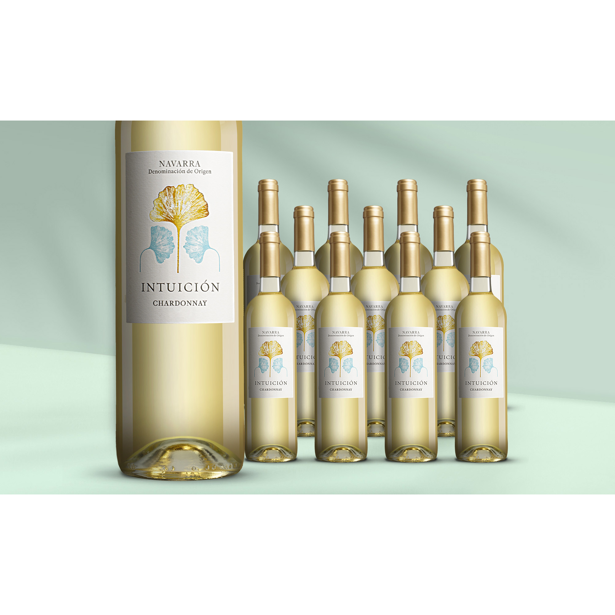 Intuición Chardonnay 2024 13% Vol. Weinpaket aus Spanien