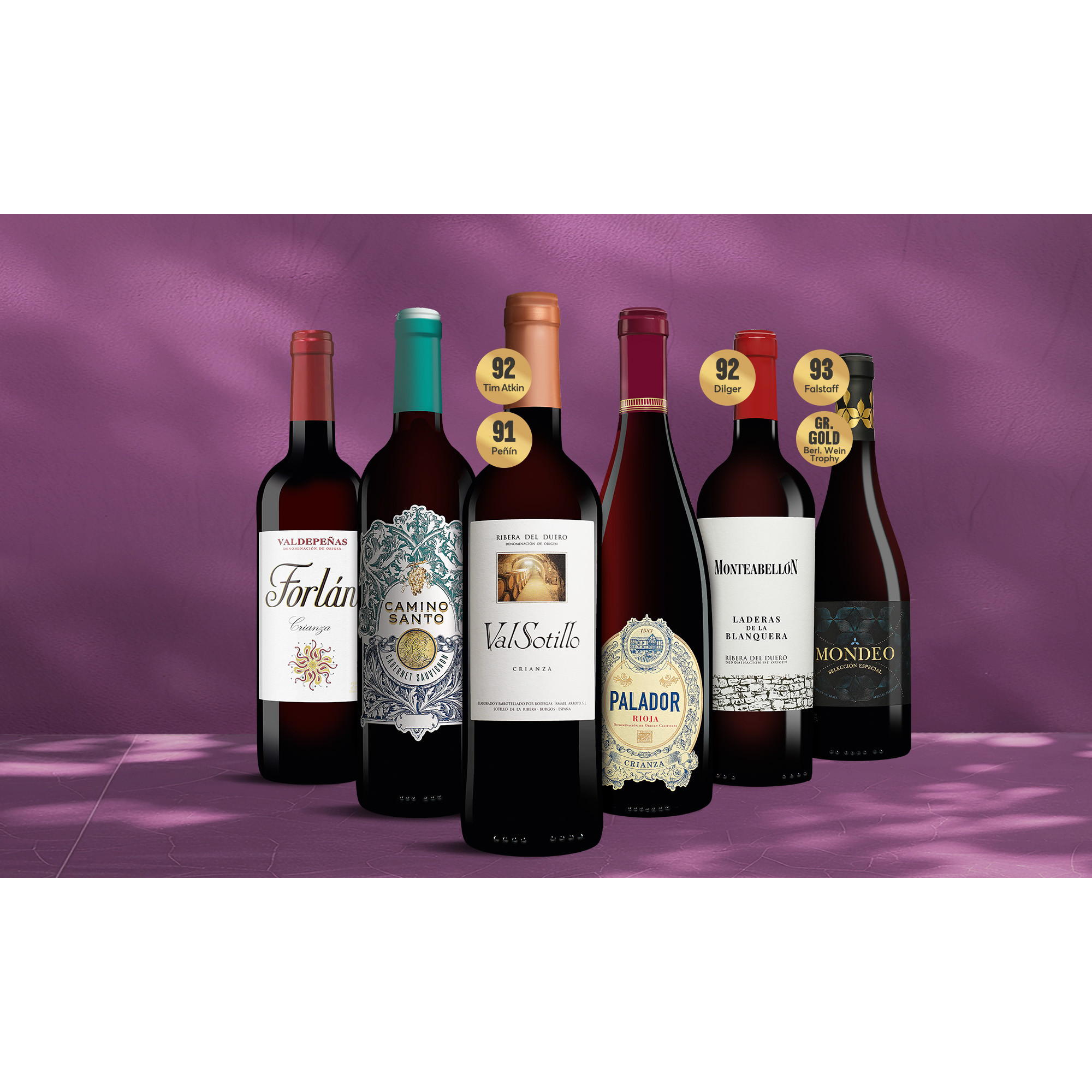 Rotwein Genießer-Paket  4Weinpaket aus Spanien