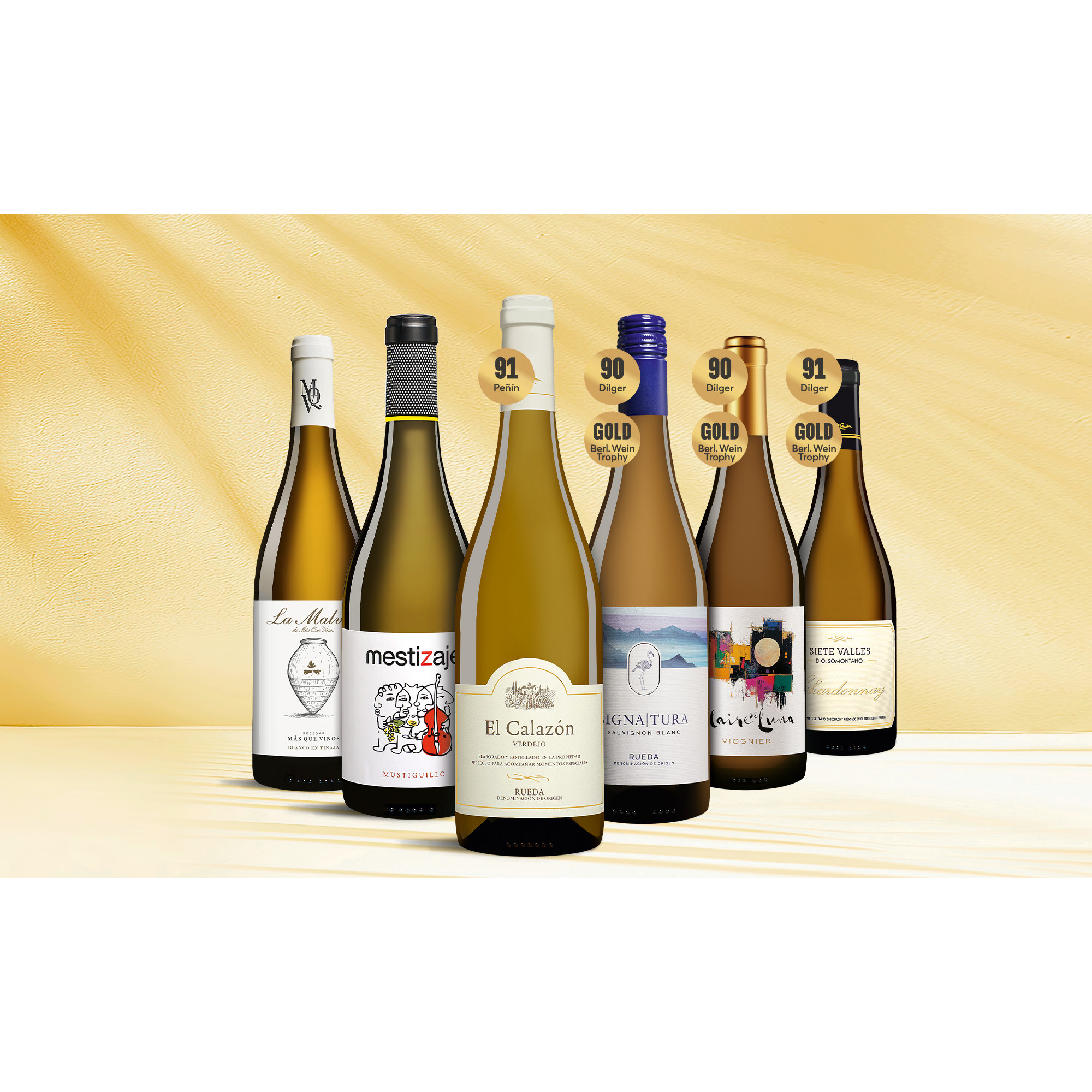 Weißwein Premium-Paket  4Weinpaket aus Spanien