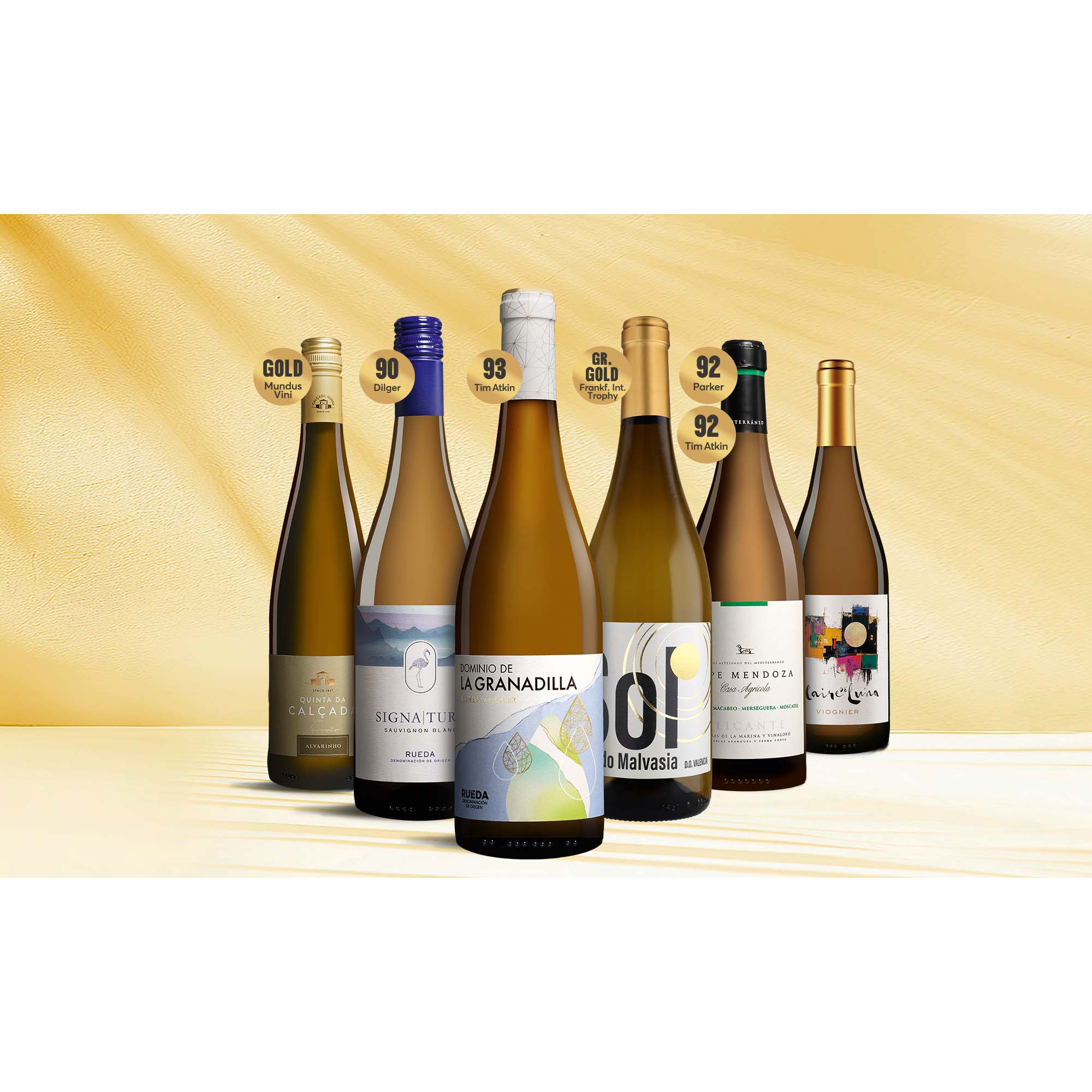 Image of Weißwein Premium-Paket 4.5L Weinpaket aus Spanien
