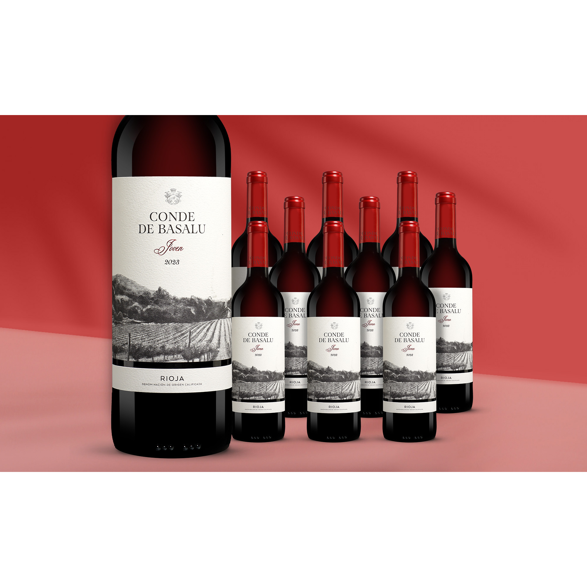 Conde de Basalu 2023  713% Vol. Weinpaket aus Spanien