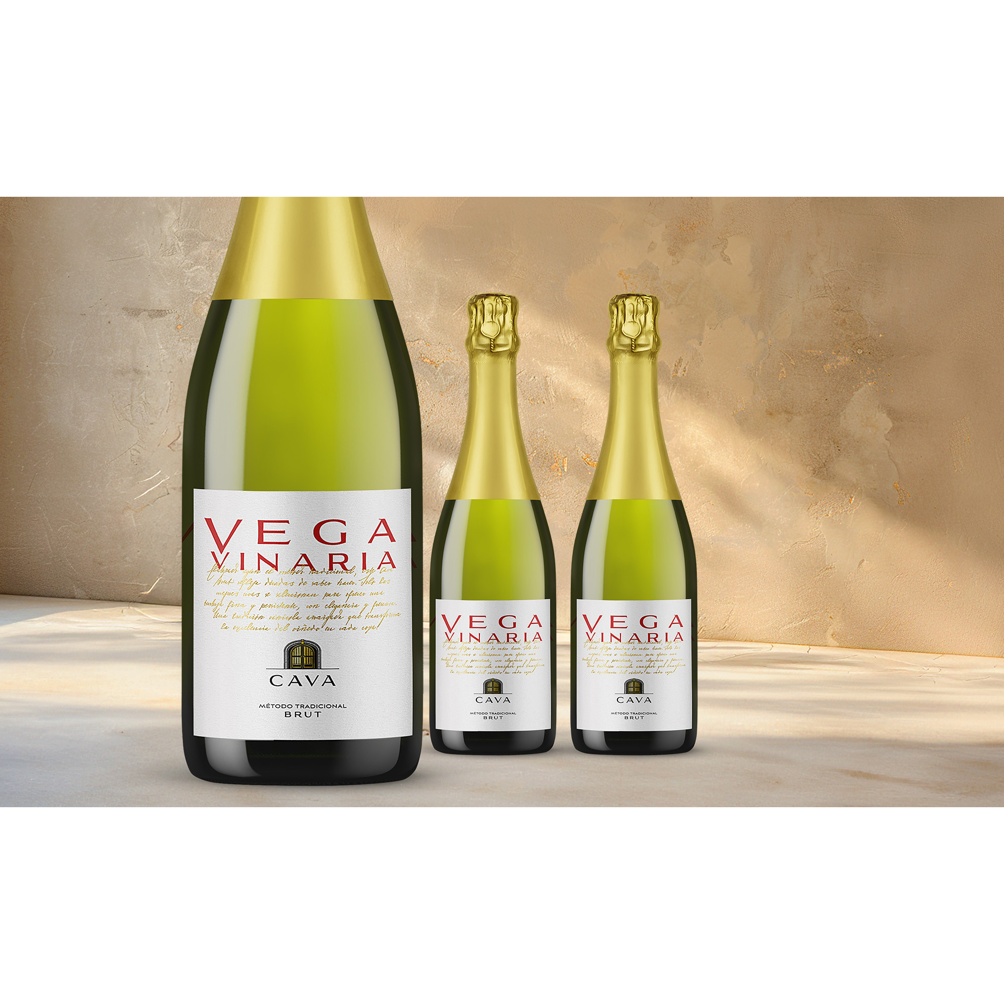 Winter-Deal:Vega Vinaria Cava Brut  211.5% Vol. Weinpaket aus Spanien