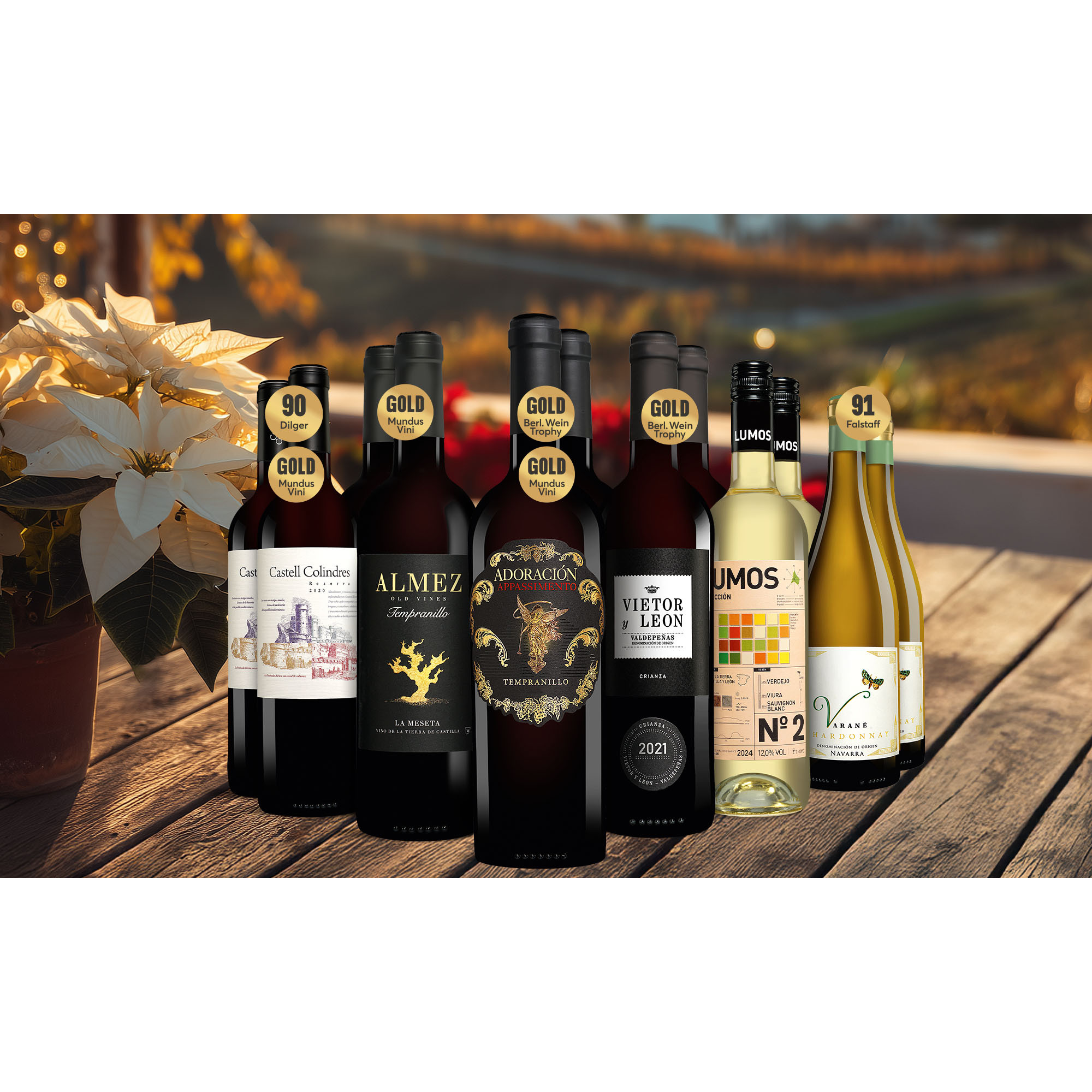 Winter-Deal:Winter-Freude-Paket Weinpaket aus Spanien