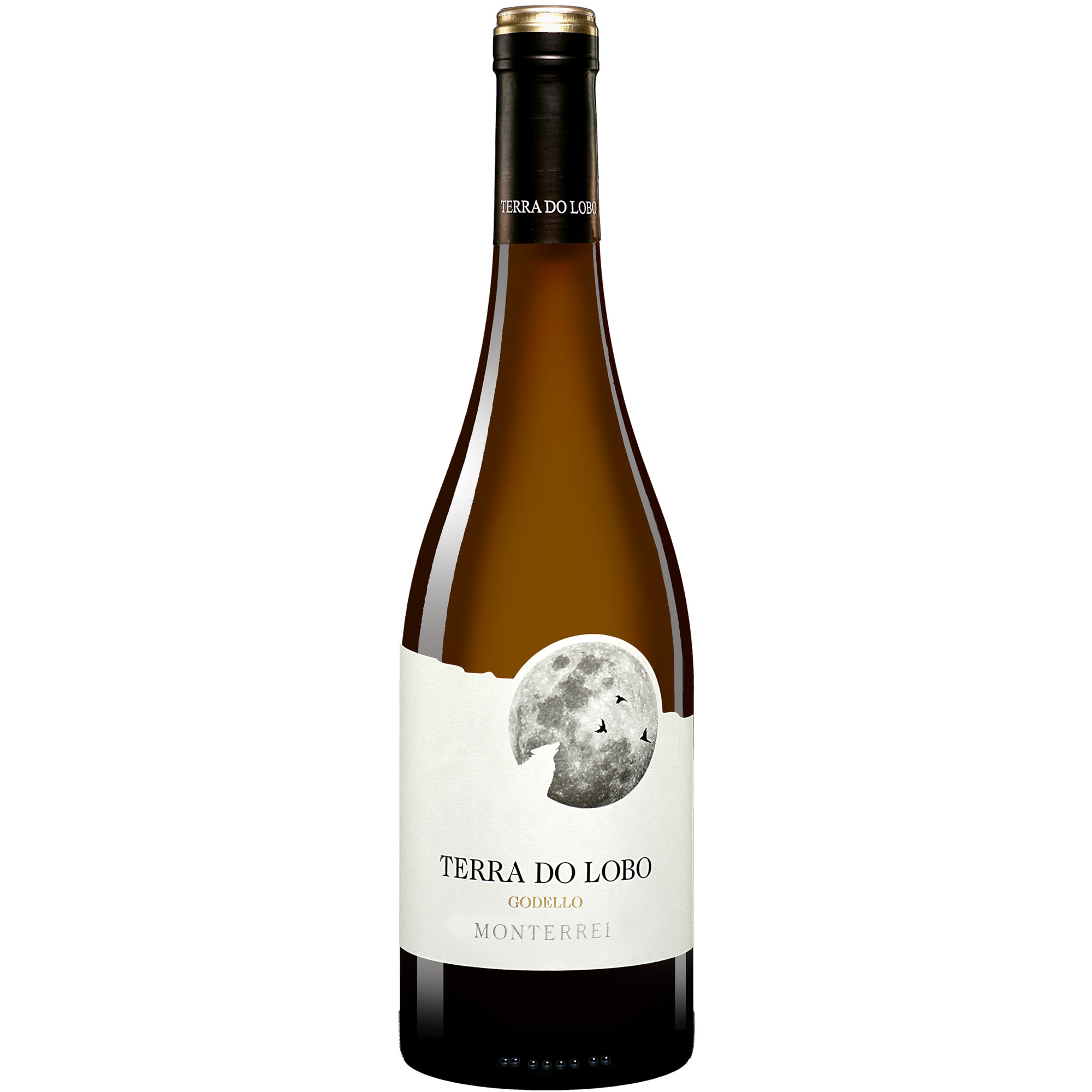 Terra do Lobo 2024  013.5% Vol. Weißwein Trocken aus Spanien