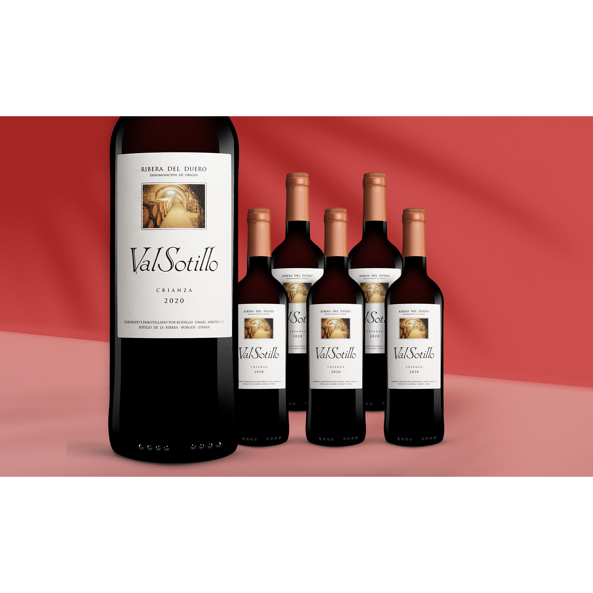 Val Sotillo Crianza 2020  414.5% Vol. Weinpaket aus Spanien