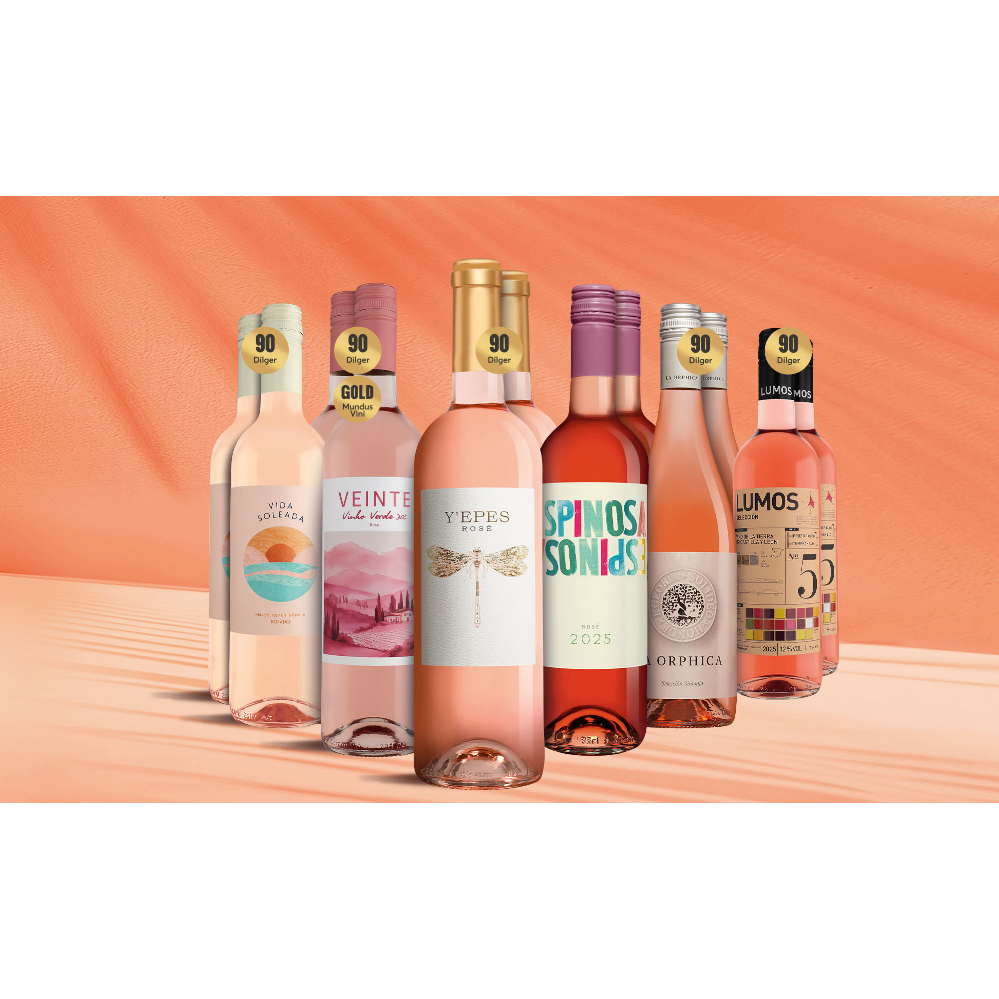 Rosé Genießer-Paket Weinpaket aus Spanien