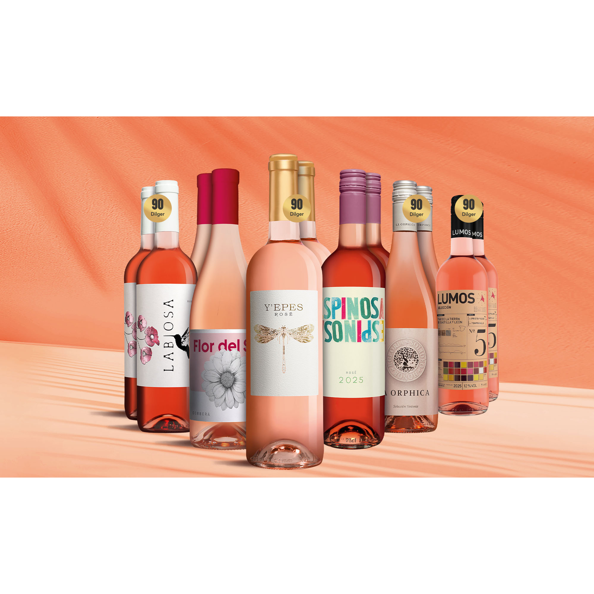 Rosé Genießer-Paket Weinpaket aus Spanien