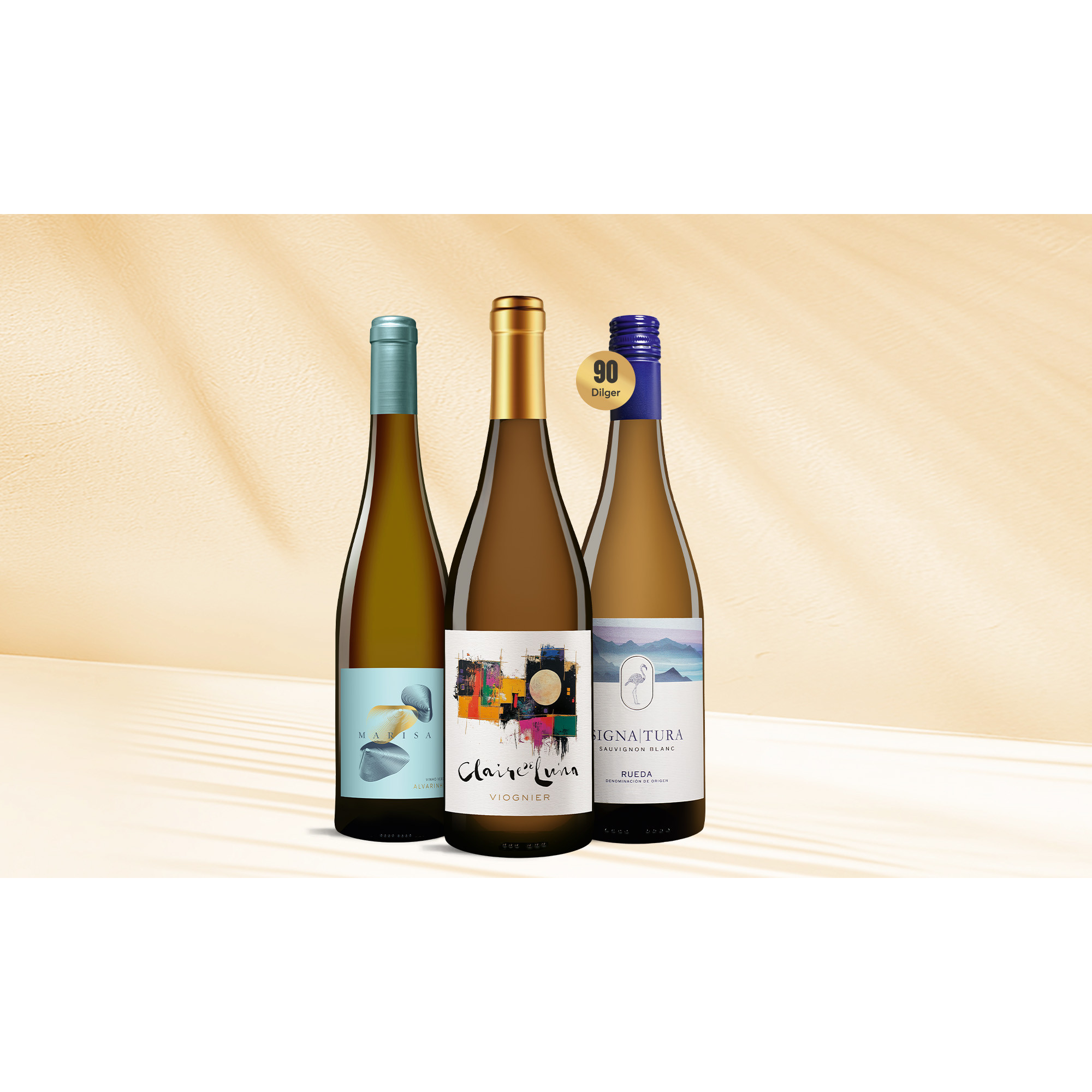 Dreiklang Weißwein-Paket 2 Weinpaket aus Spanien
