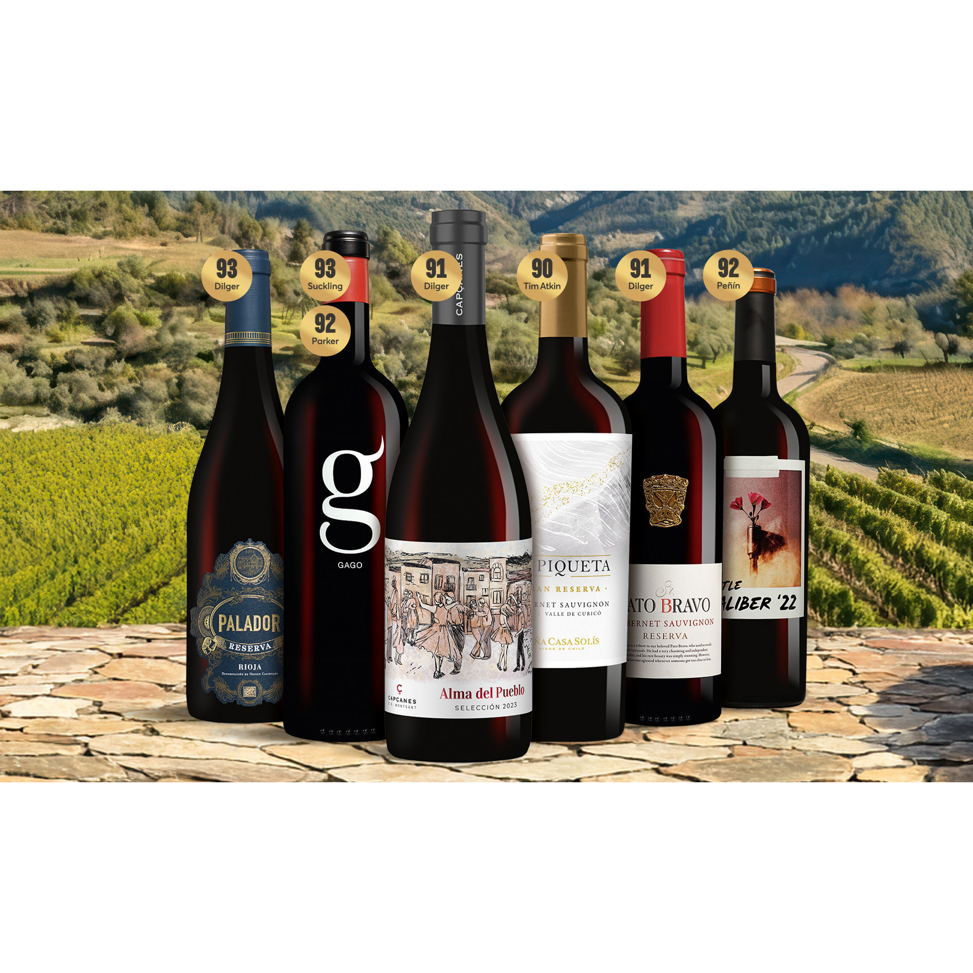 Jubiläums-Angebot:Punkte Favoriten-Paket 4 Weinpaket aus Spanien