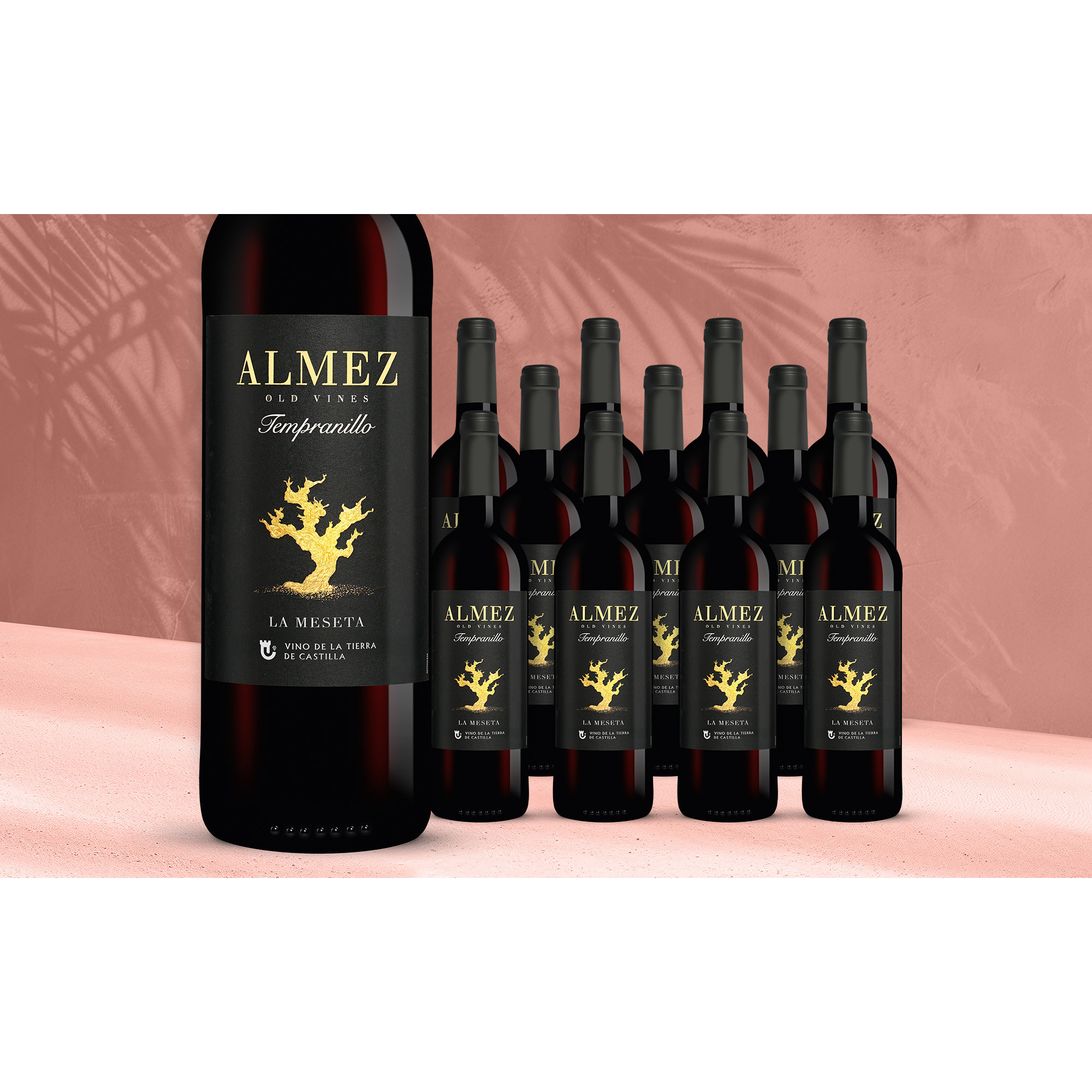 Almez Tempranillo 2025 13.5% Vol. Weinpaket aus Spanien