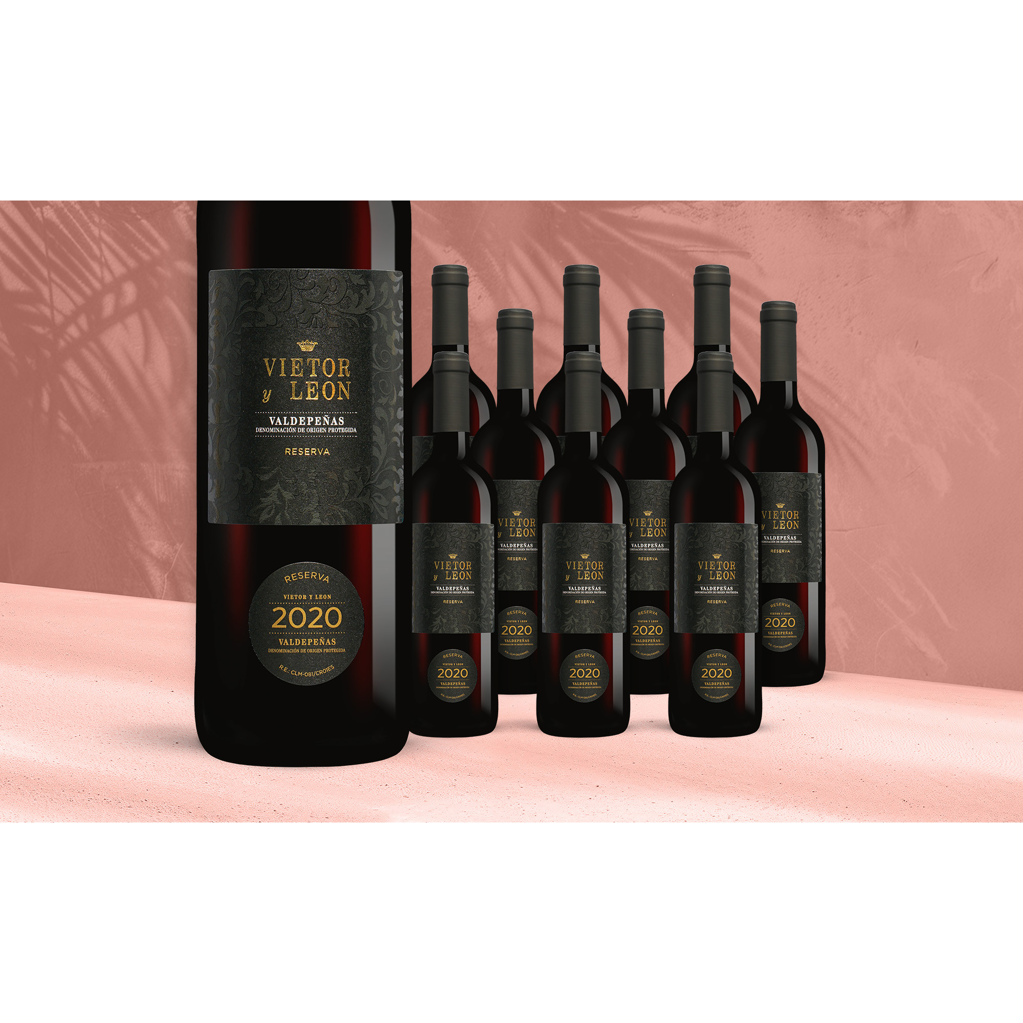 Vietor y Leon Reserva 2020 7 13% Vol. Weinpaket aus Spanien