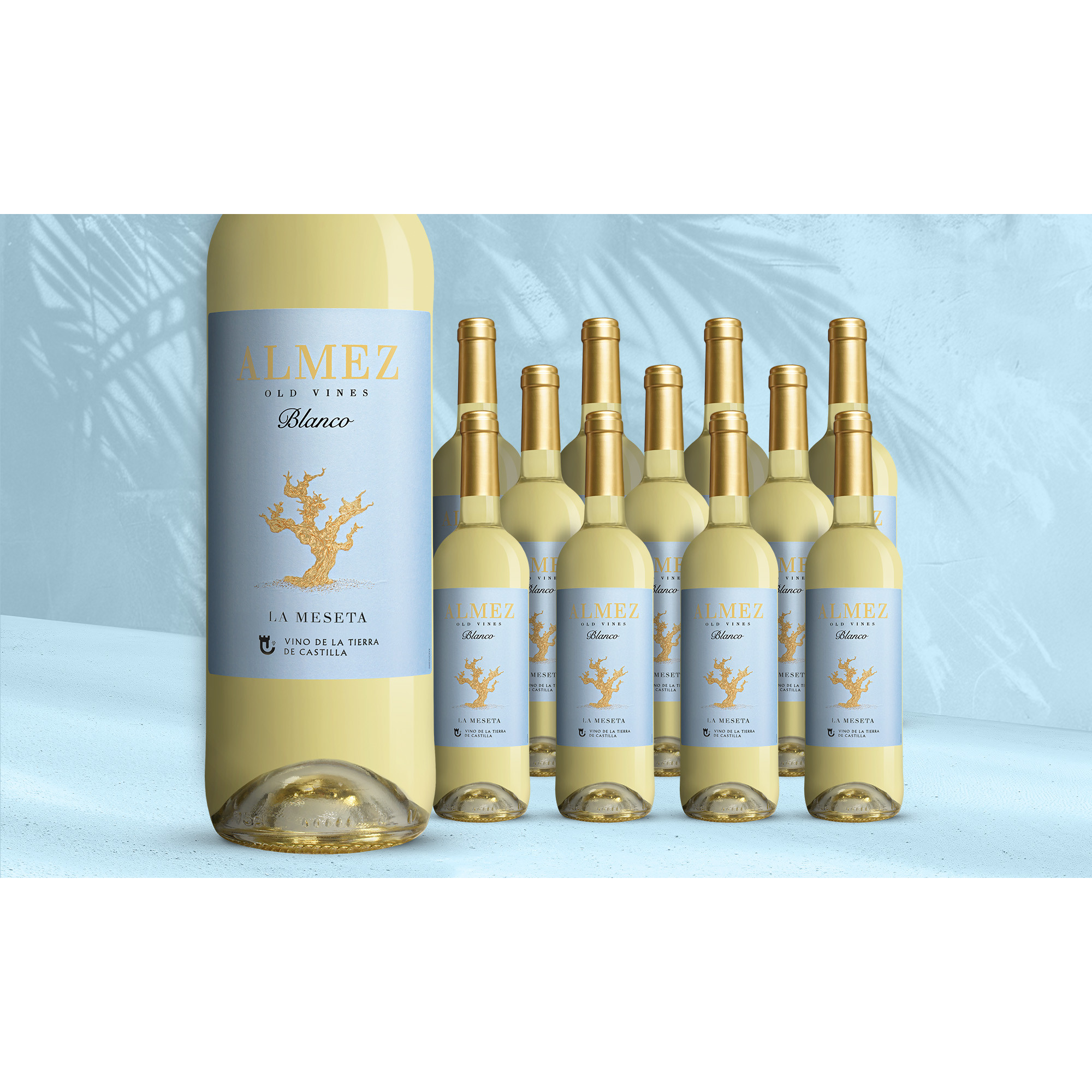 Almez Blanco 2025 12.5% Vol. Weinpaket aus Spanien