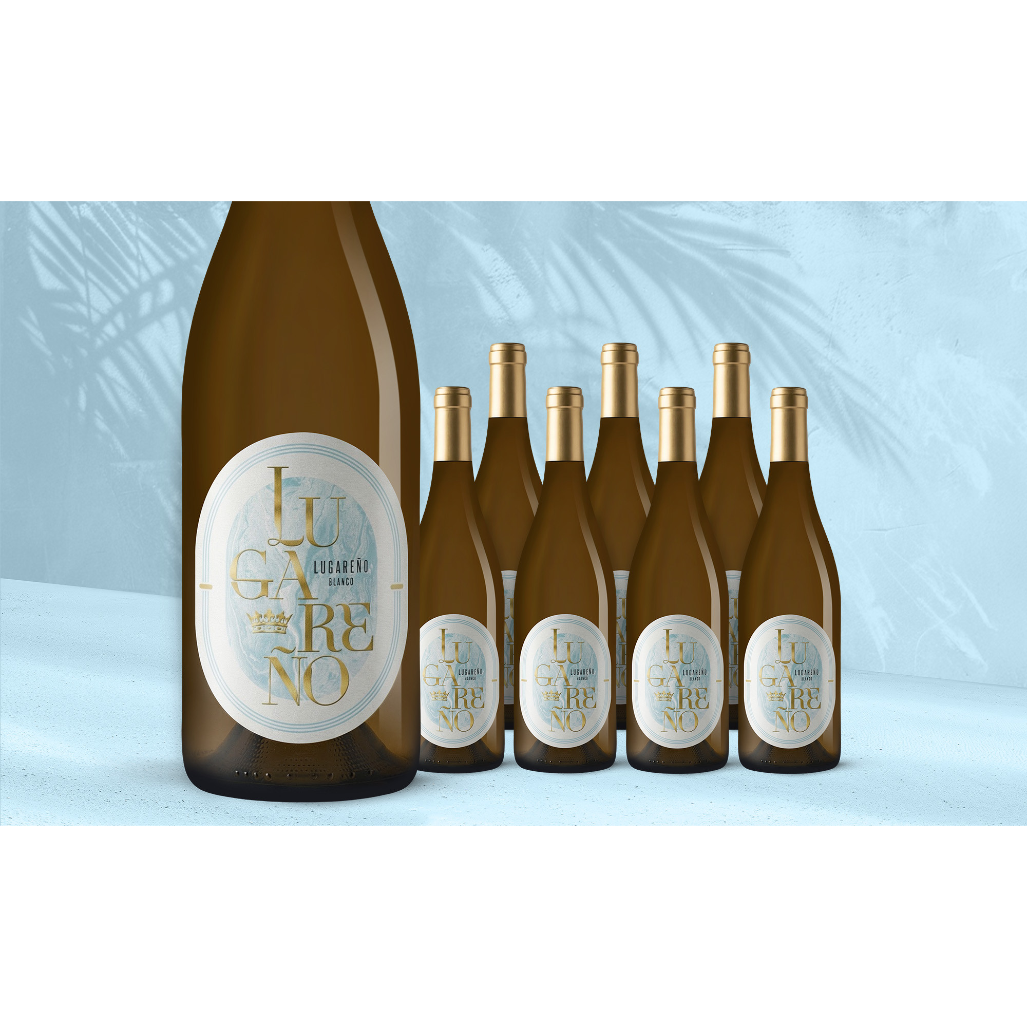 Jubiläums-Angebot:Lugareño Blanco 2025 12.5% Vol. Weinpaket aus Spanien