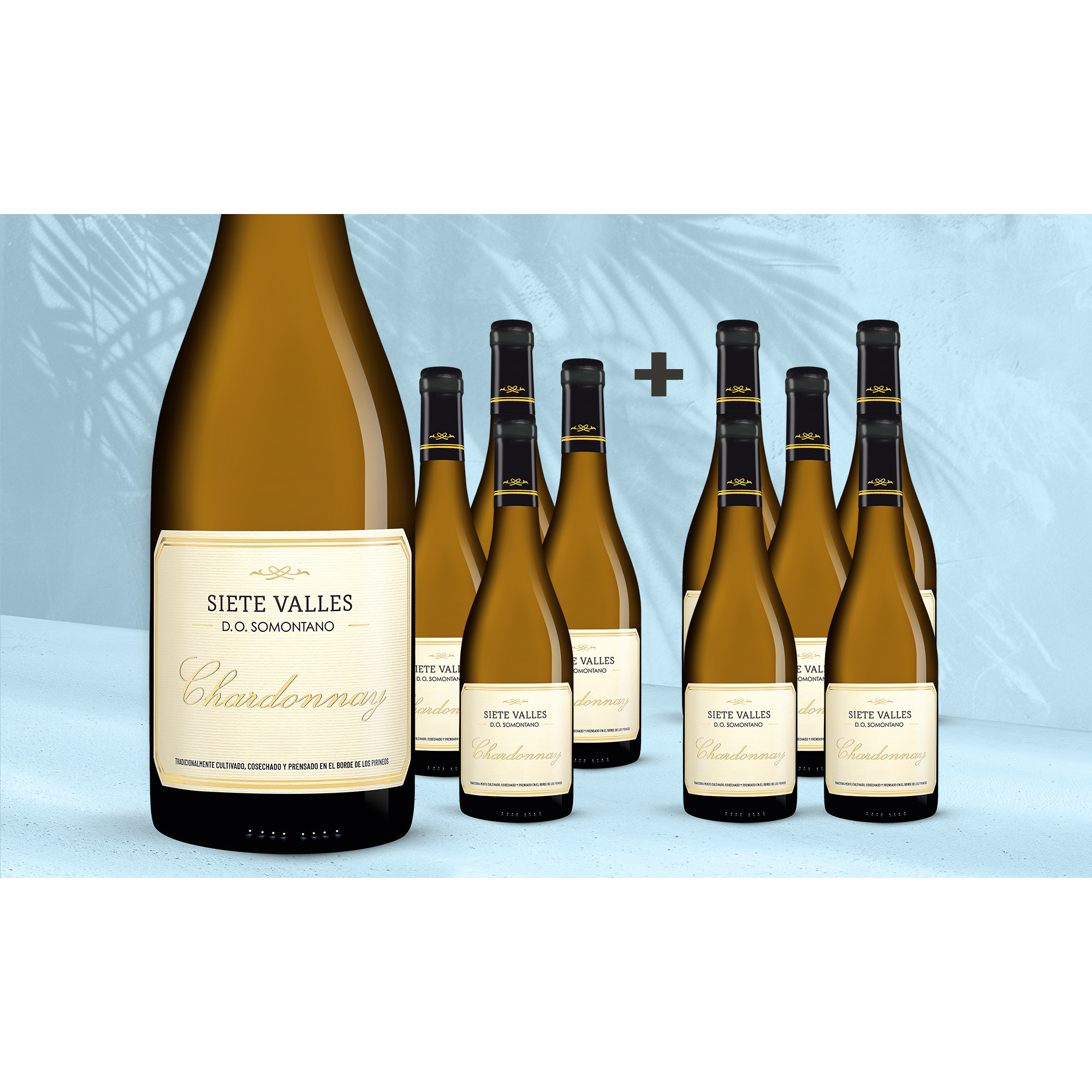 Siete Valles Chardonnay 2025 7 13.5% Vol. Weinpaket aus Spanien