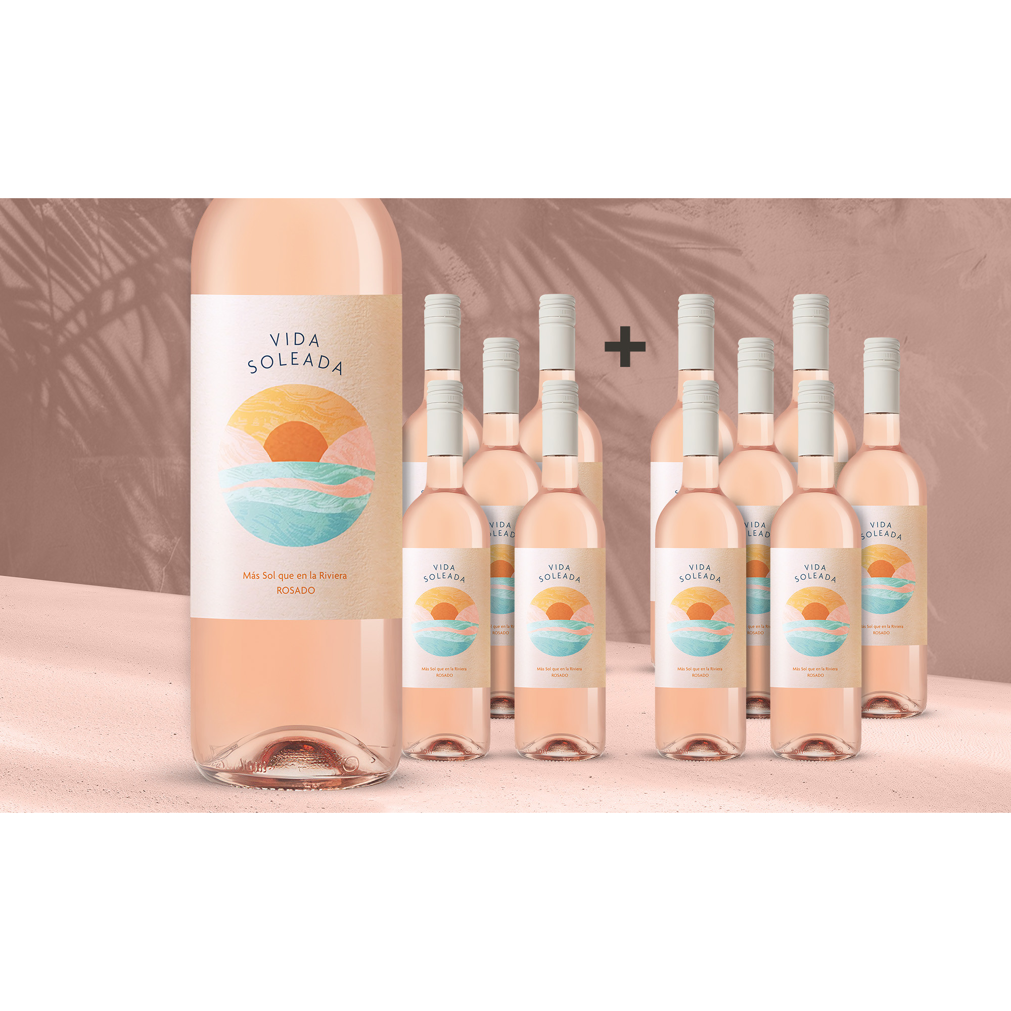 Vida Soleada Rosé 2025 13% Vol. Weinpaket aus Spanien