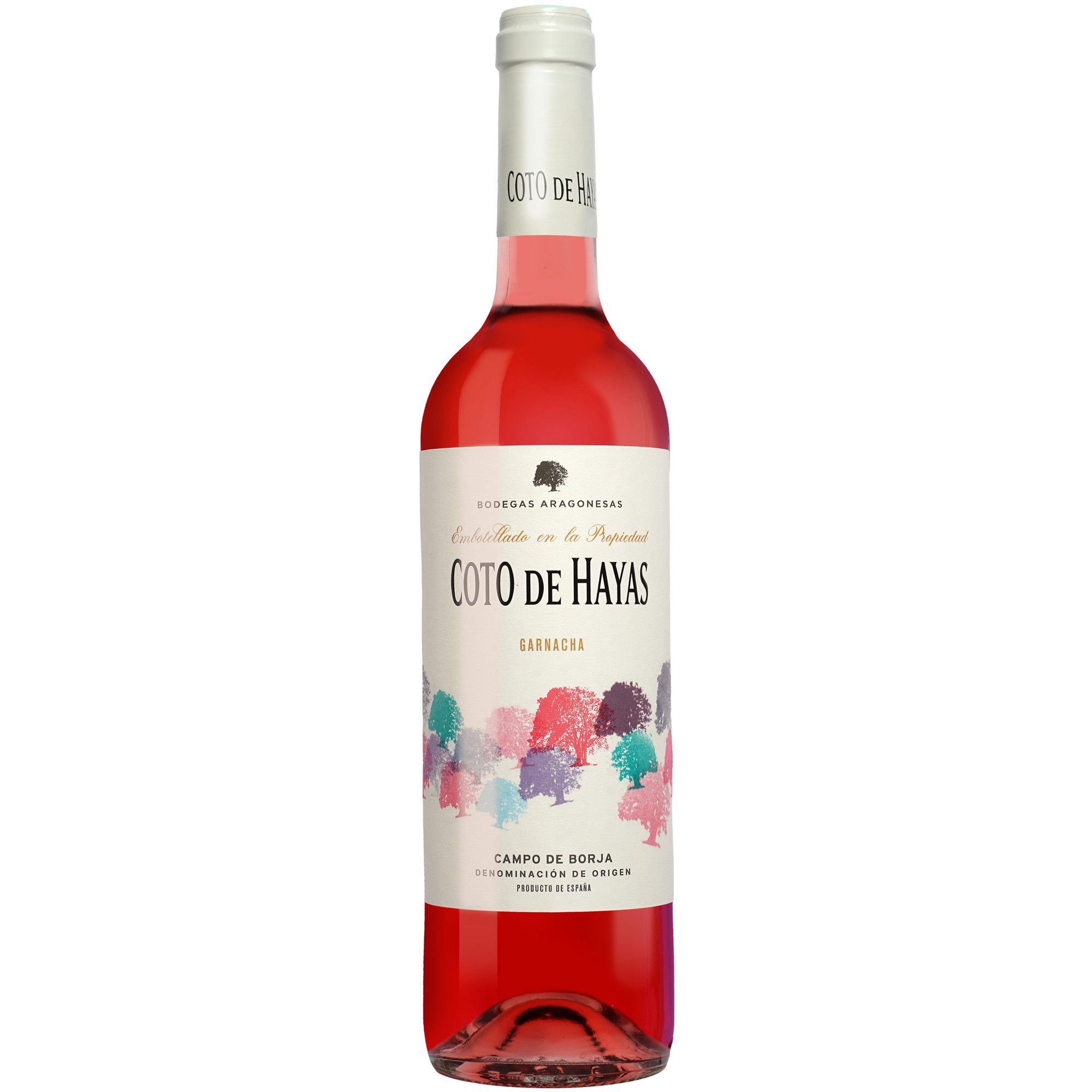 Coto de Hayas Rosado 2025 0 13.5% Vol. Roséwein Trocken aus Spanien