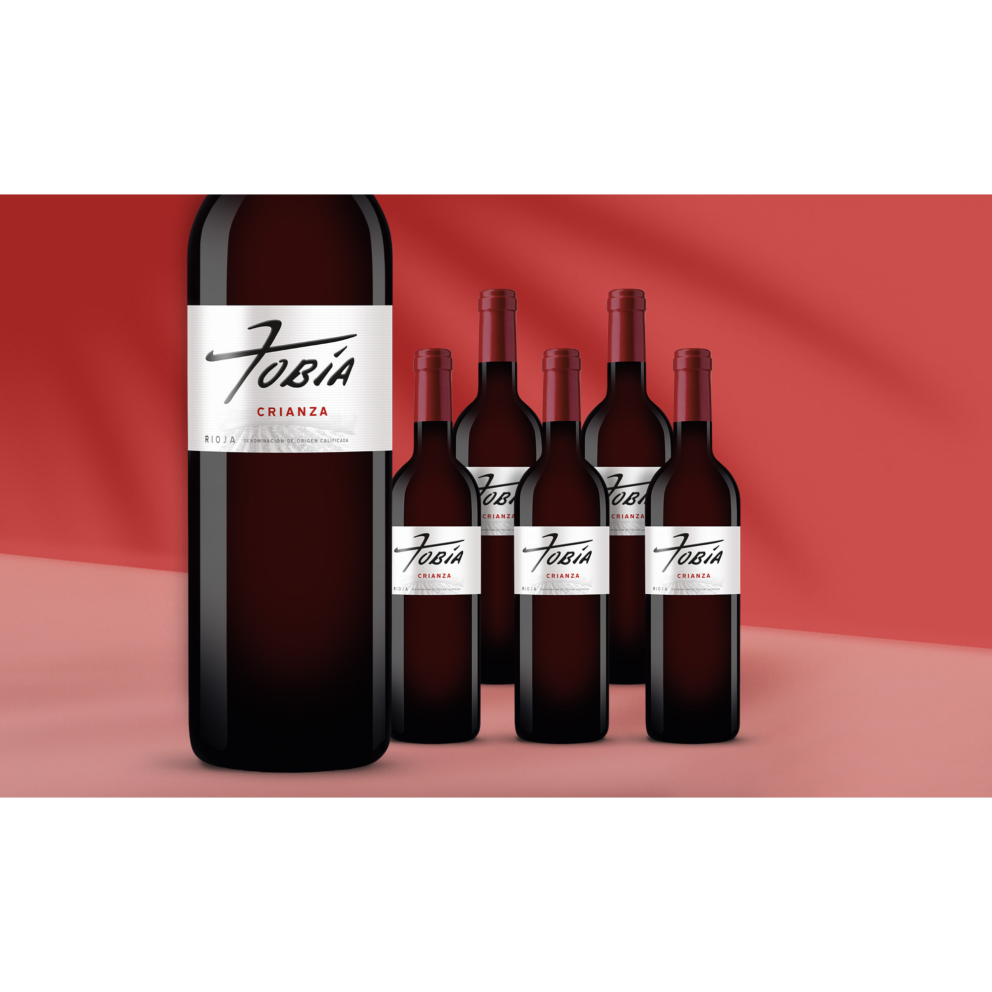 Tobía Crianza 2021 4 14% Vol. Weinpaket aus Spanien