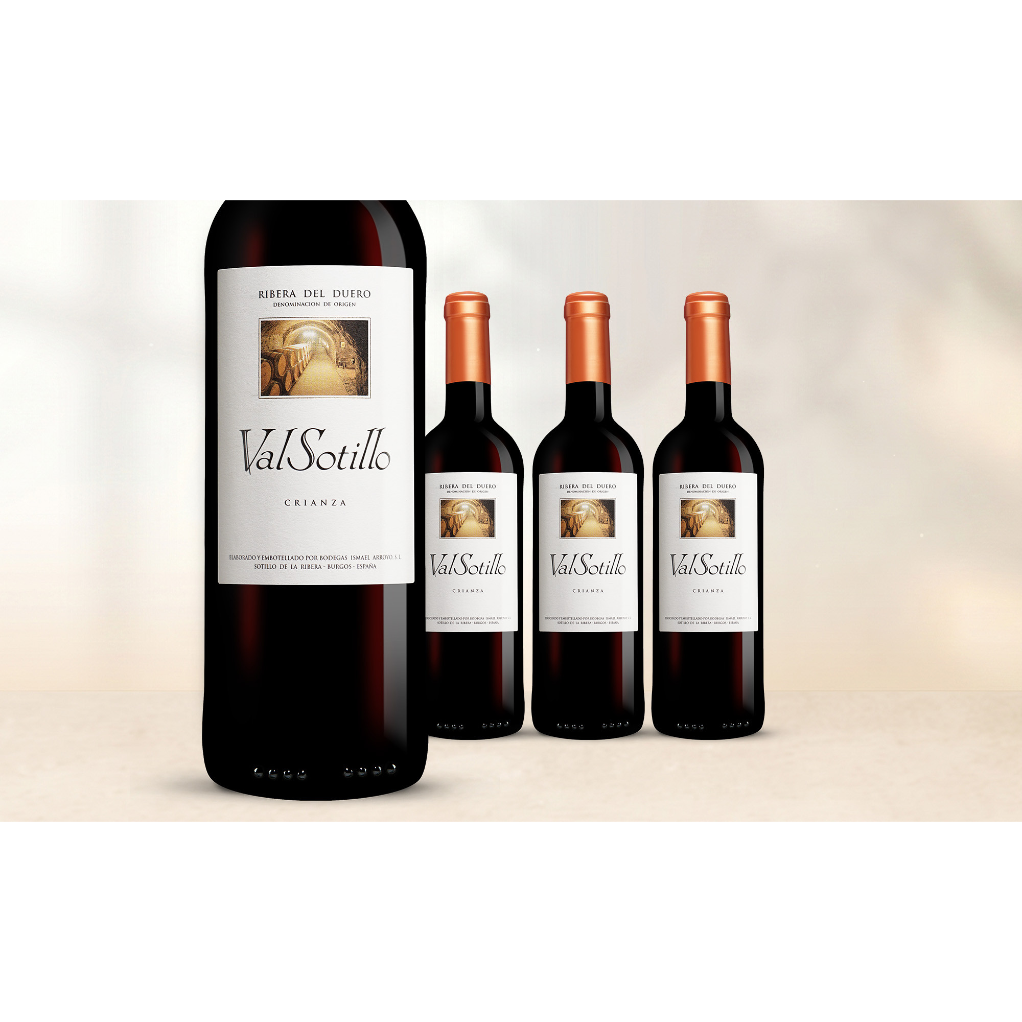 Val Sotillo Crianza 2022 14.5% Vol. Weinpaket aus Spanien