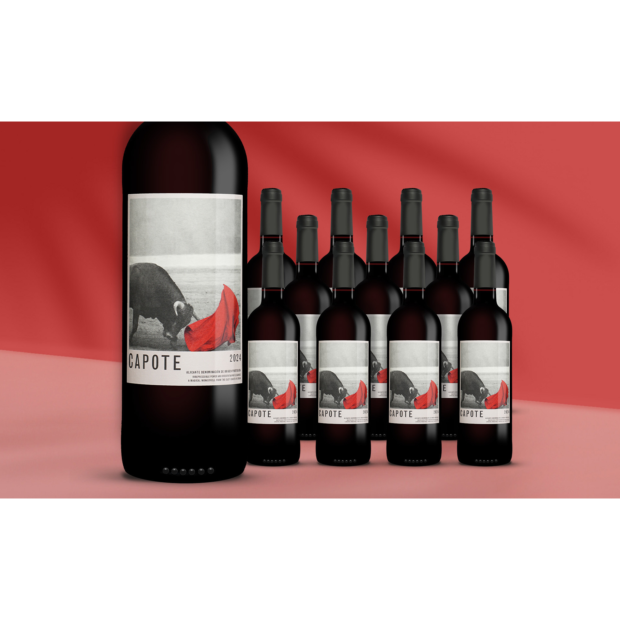 Capote 2024 13.5% Vol. Weinpaket aus Spanien