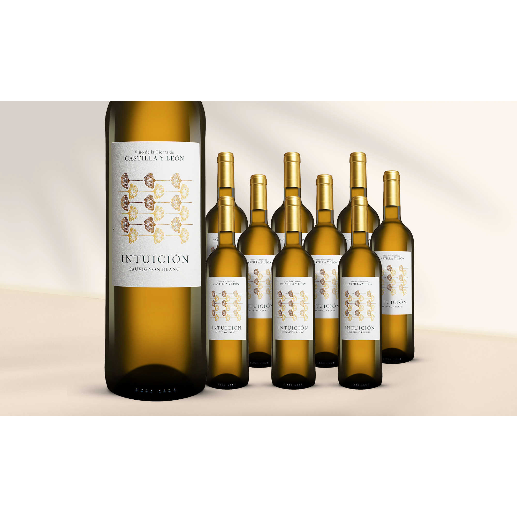 Intuición Sauvignon Blanc 2025 7 12.5% Vol. Weinpaket aus Spanien
