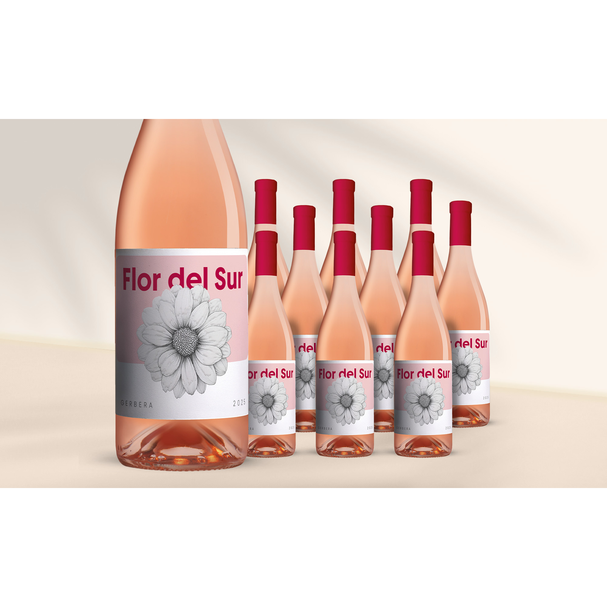 Flor del Sur Gerbera Rosé 2025 7 12.5% Vol. Weinpaket aus Spanien
