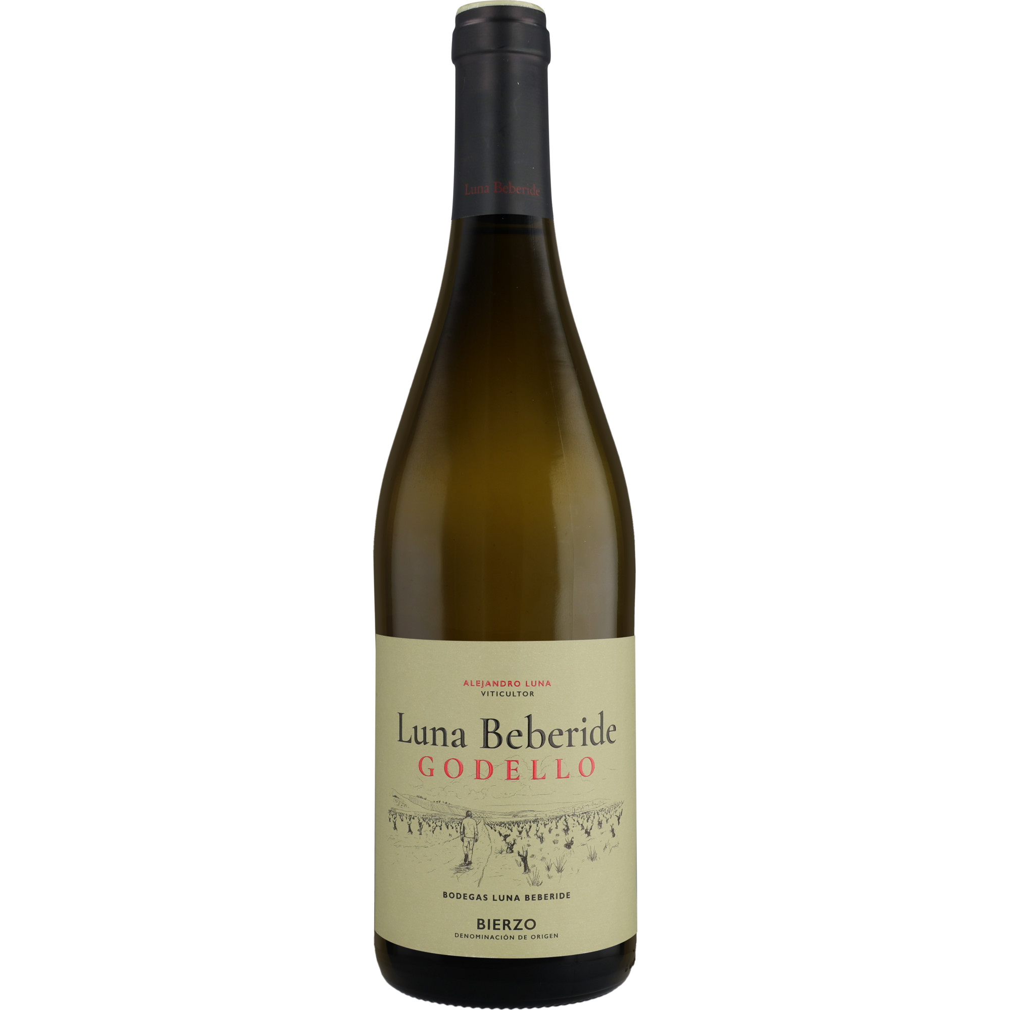 Luna Beberide Godello 2025 0 12% Vol. Weißwein Trocken aus Spanien