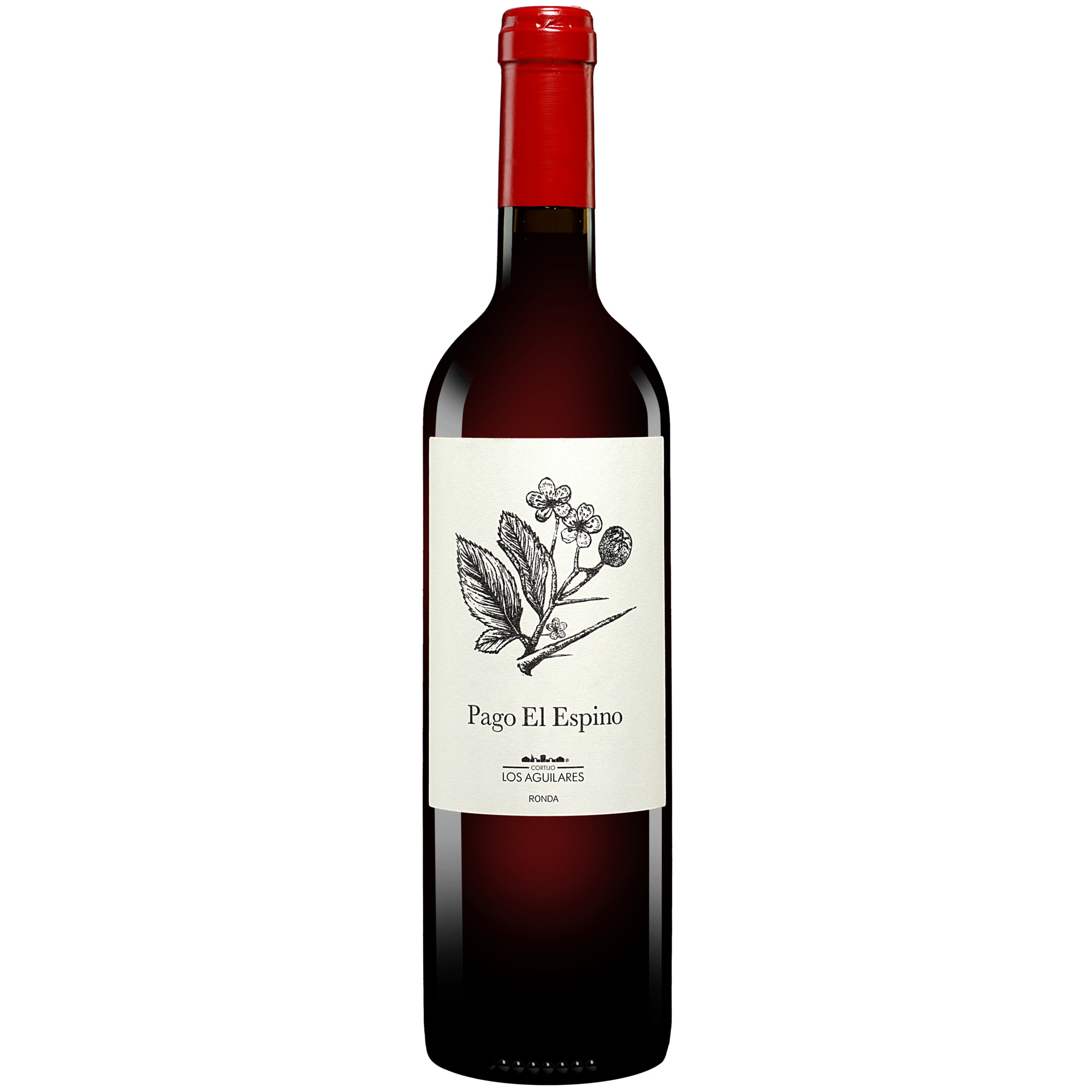 Los Aguilares »Pago el Espino« 2024 0 14% Vol. Rotwein Trocken aus Spanien