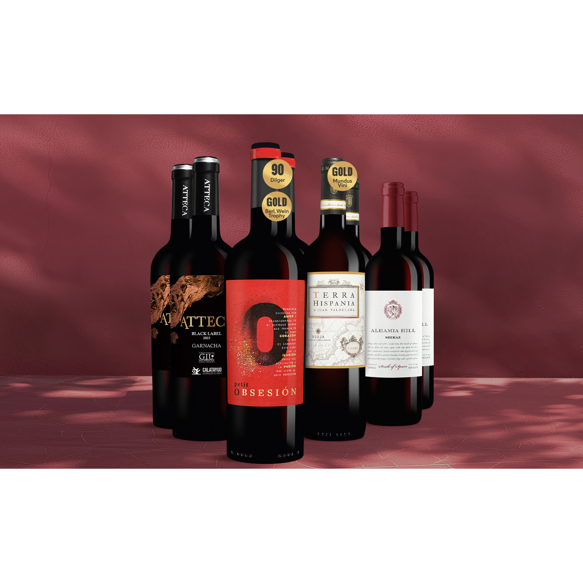 Festwein-Genießer-Paket Weinpaket aus Spanien