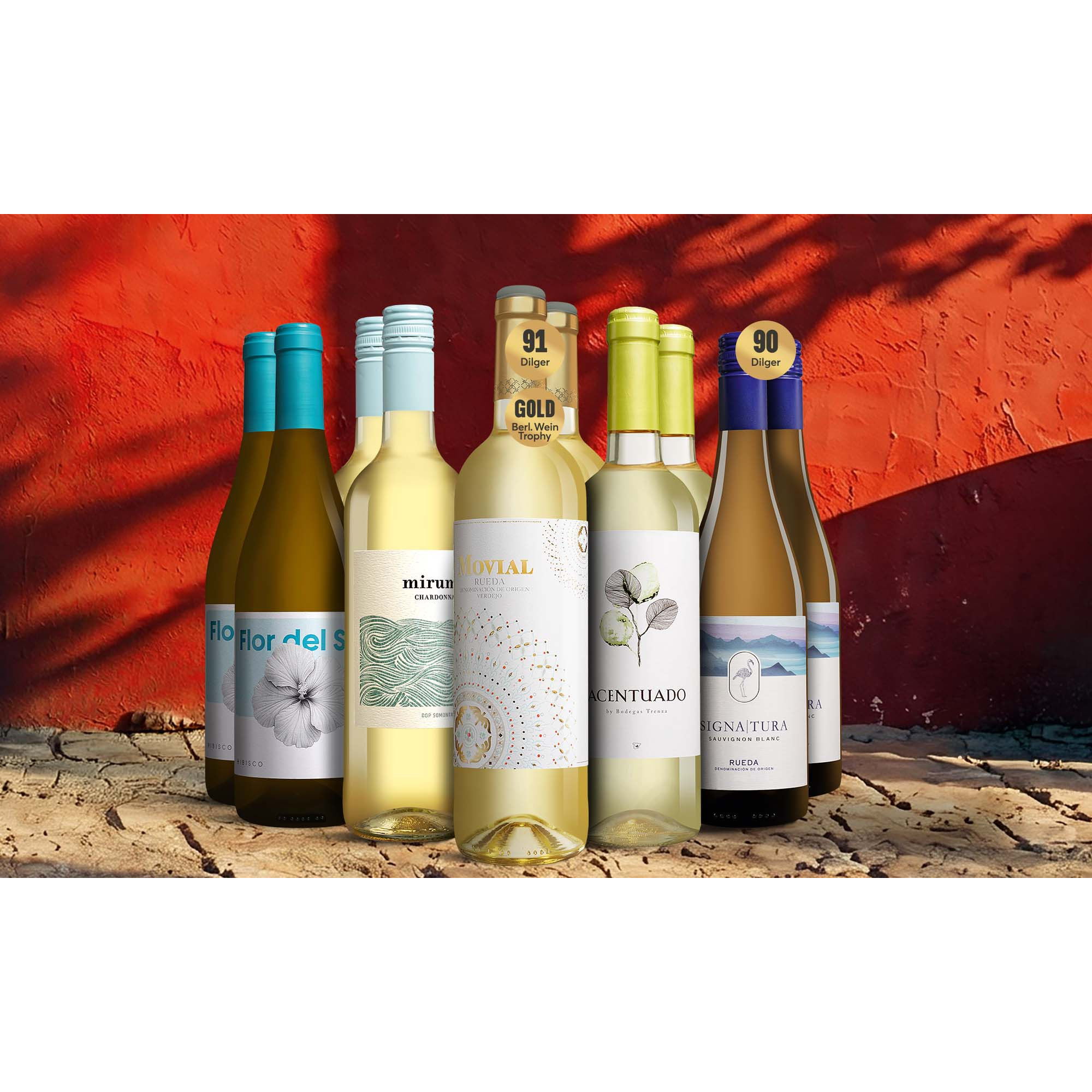 Lagerausverkauf-Weißwein-Paket 7 Weinpaket aus Spanien