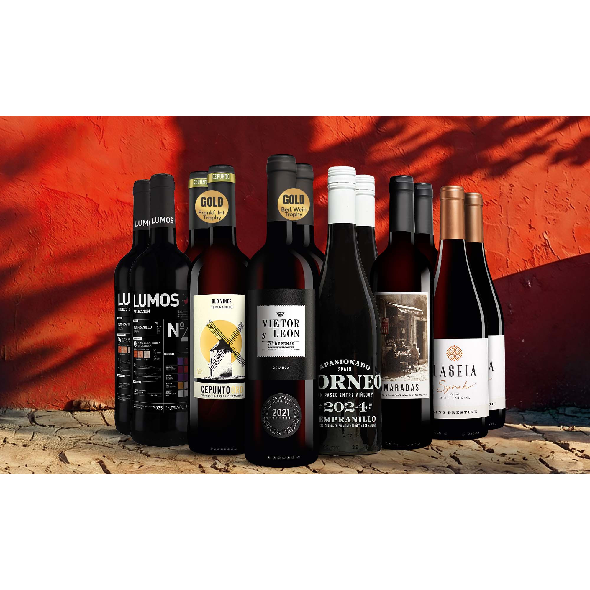 Lagerausverkauf-Rotwein-Paket Weinpaket aus Spanien