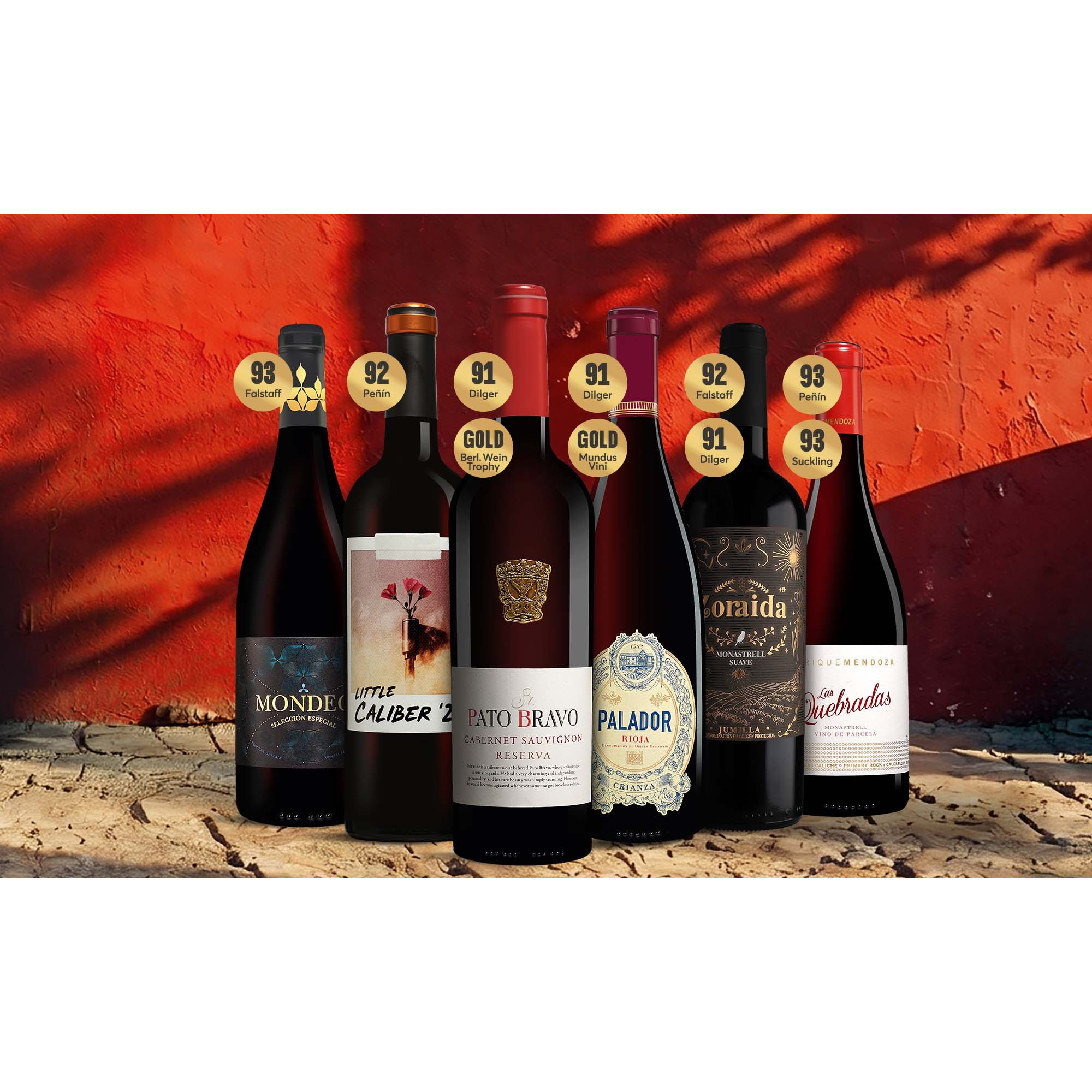 Lagerausverkauf-Premium-Paket 4 Weinpaket aus Spanien