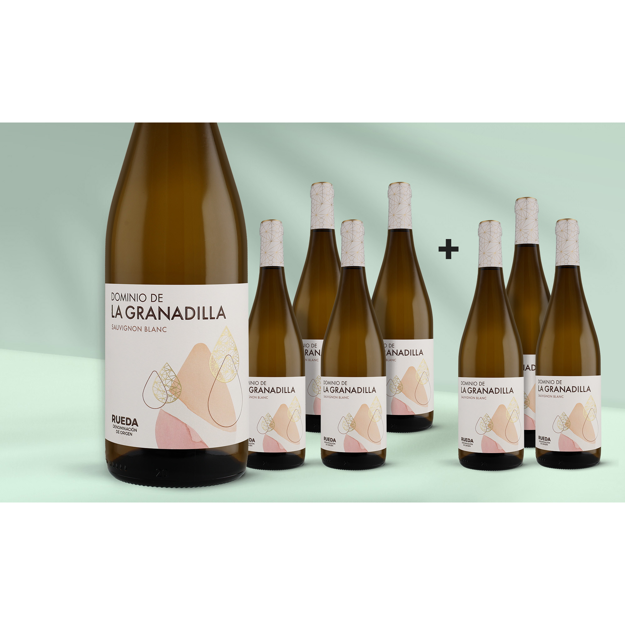 La Granadilla Sauvignon Blanc 2025 13% Vol. Weinpaket aus Spanien