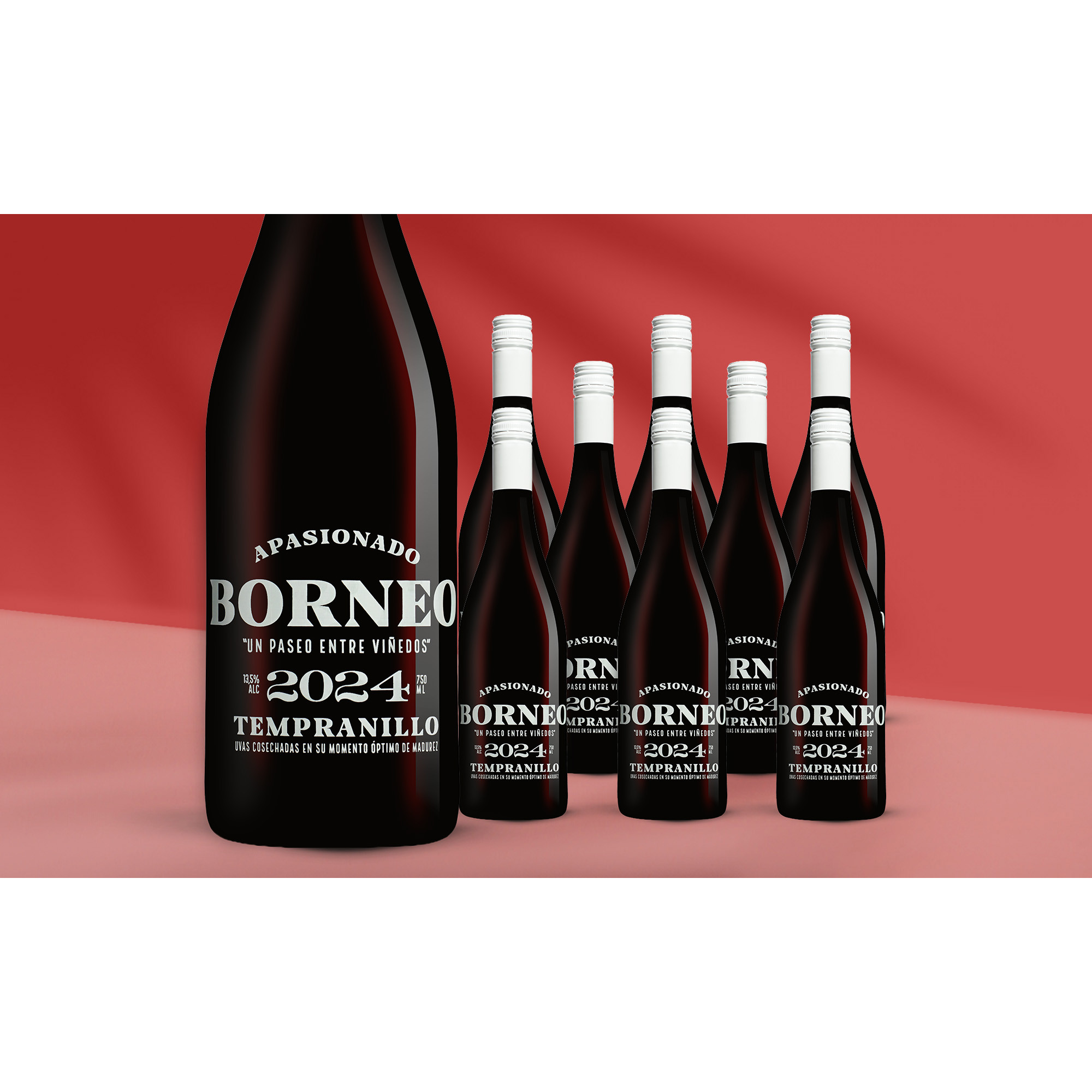 Borneo Apasionado 2024 6 13.5% Vol. Weinpaket aus Spanien