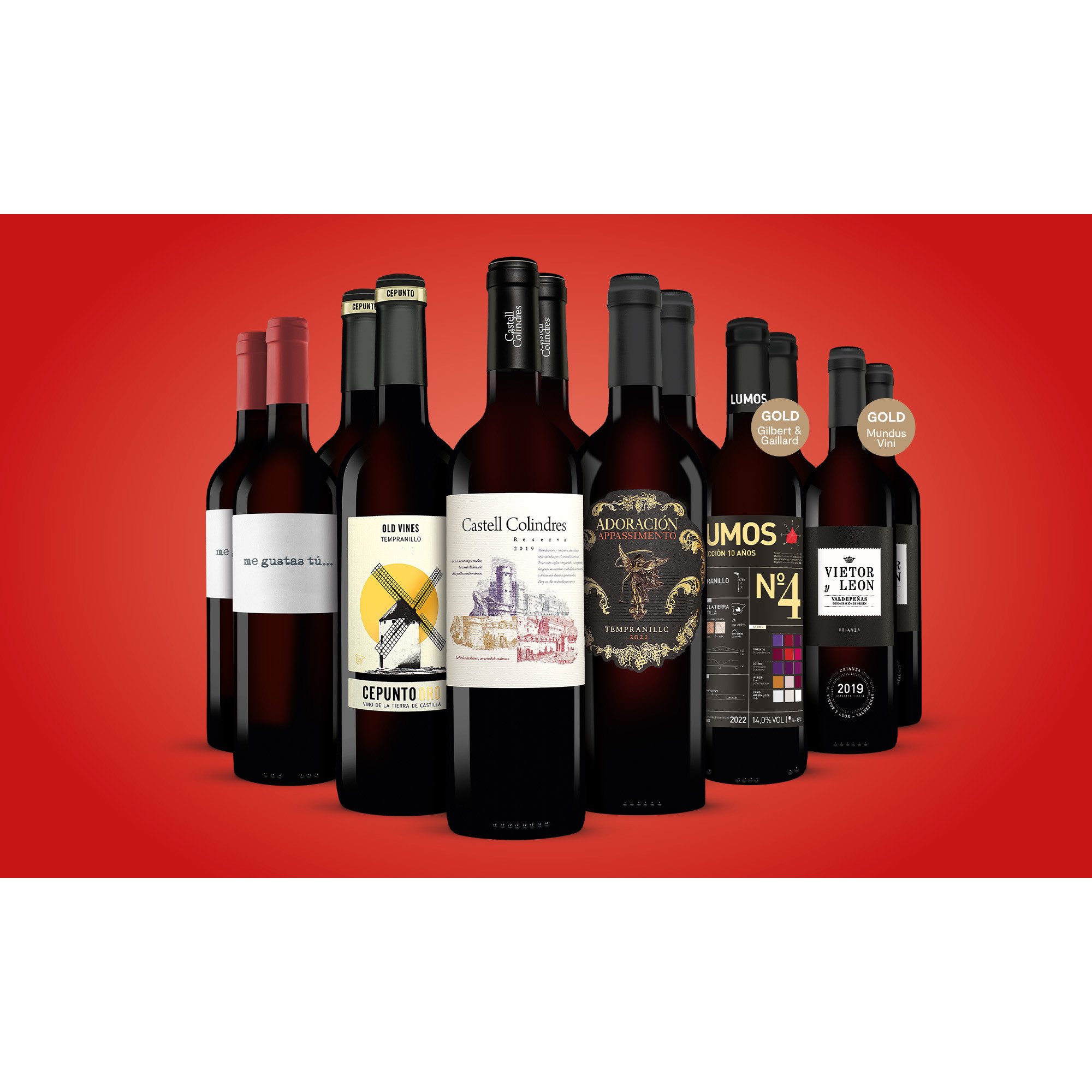 Topseller-Paket  9L Trocken Weinpaket aus Spanien 6706 vinos DE