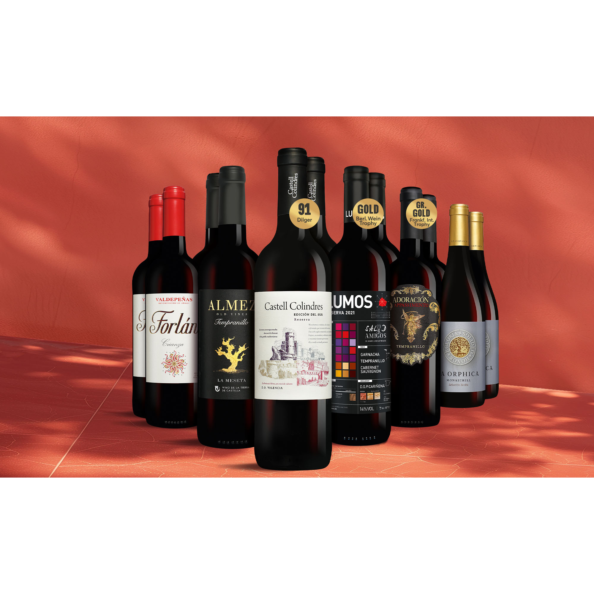 Tinto-Topseller-Paket Weinpaket aus Spanien