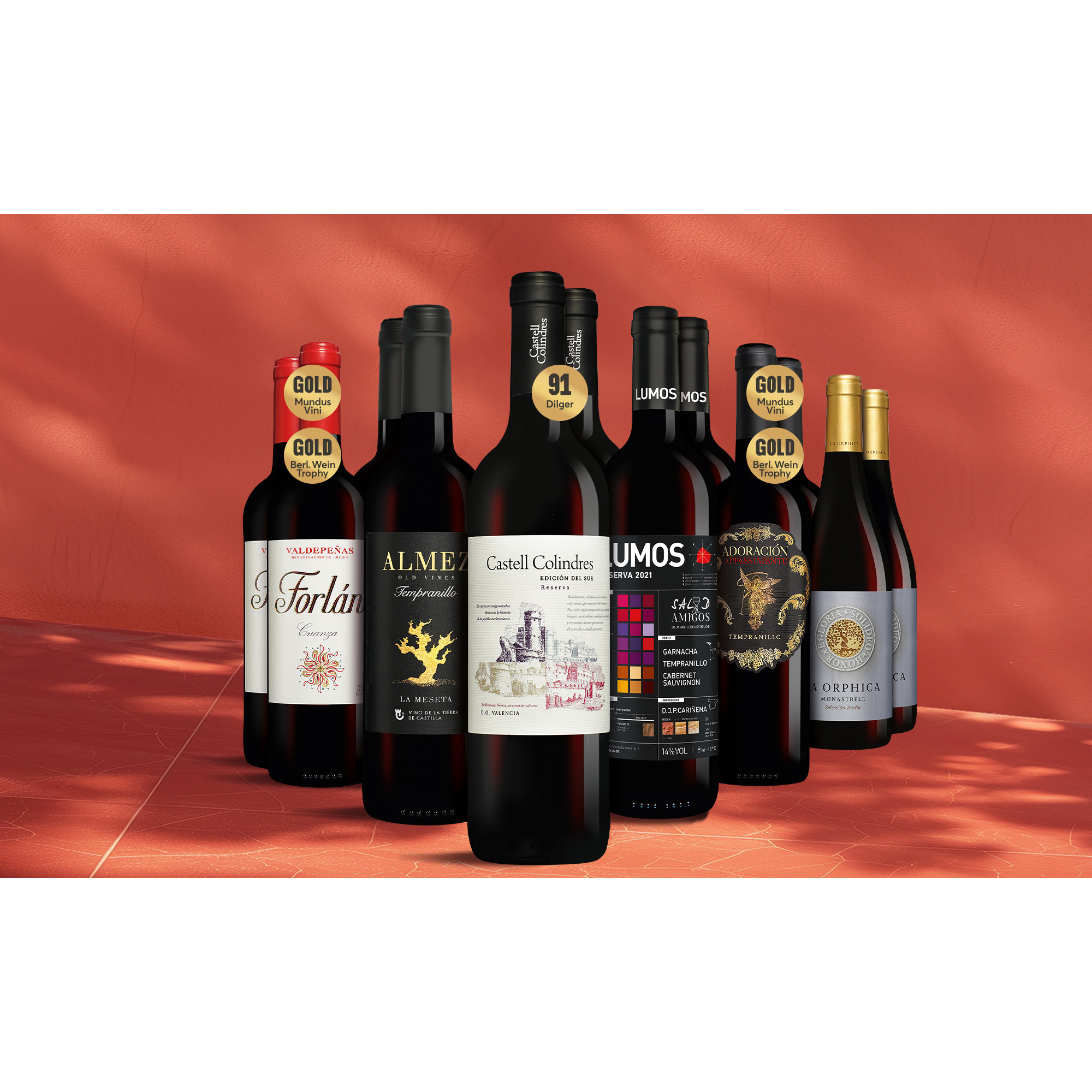 Tinto-Topseller-Paket Weinpaket aus Spanien
